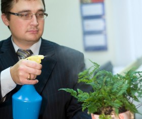 Water the plants man Stock Photo