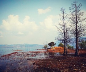 Wetland scenery Stock Photo