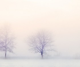 Winter fog Stock Photo