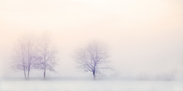 Winter fog Stock Photo