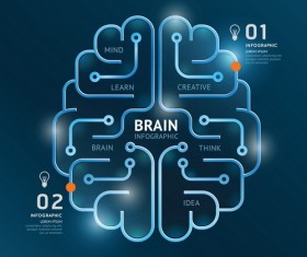brain with lines infographic vector