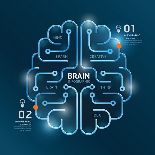 brain with lines infographic vector