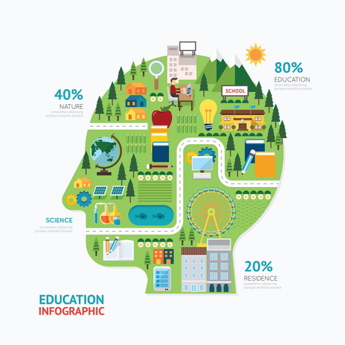 education business infographic vector