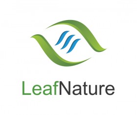 leaf nature logo vector