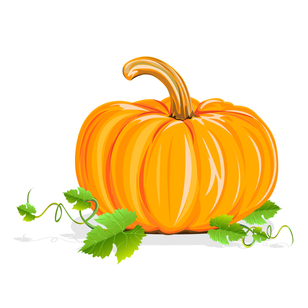 pumpkin with green leaves vector material