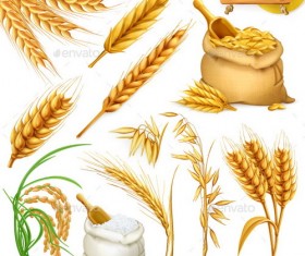 wheat illustration vector material 01