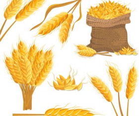 wheat illustration vector material 03