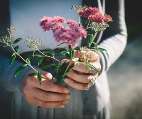 wild flowers on woman hands Stock Photo