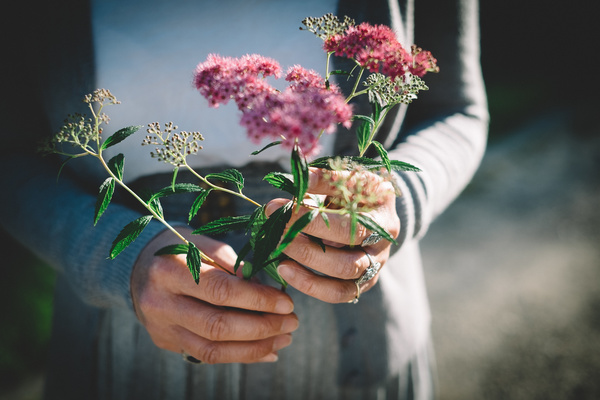 wild flowers on woman hands Stock Photo