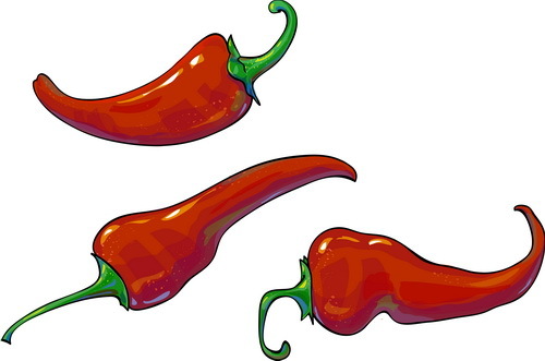 3 red pepper vector illustration
