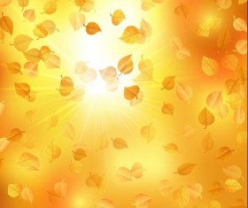 Autumn leaves with sunlight background vector
