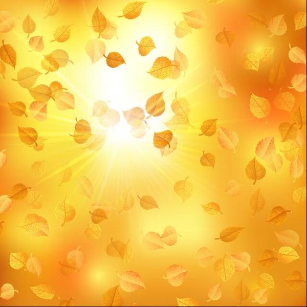 Autumn leaves with sunlight background vector