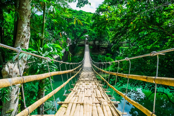 Bamboo suspension bridge Stock Photo