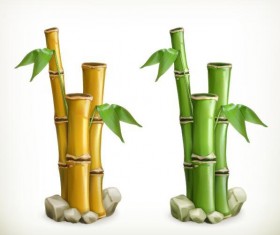 Bamboo vector illustration