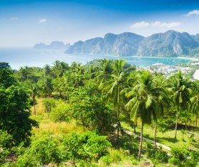 Beach reef palm trees Stock Photo