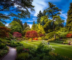 Beautiful city forest park Stock Photo
