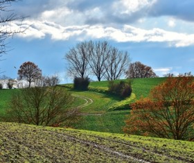 Beautiful suburban autumn landscape Stock Photo
