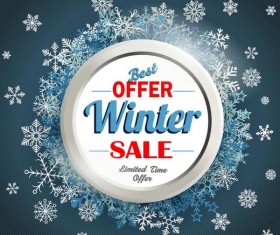 Best offer winter sale with snow frame vector