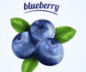 Blueberry illustration vector material