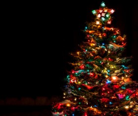 Bright Christmas tree at night Stock Photo