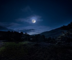 Bright moonlight at night Stock Photo 01