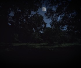 Bright moonlight at night Stock Photo 05