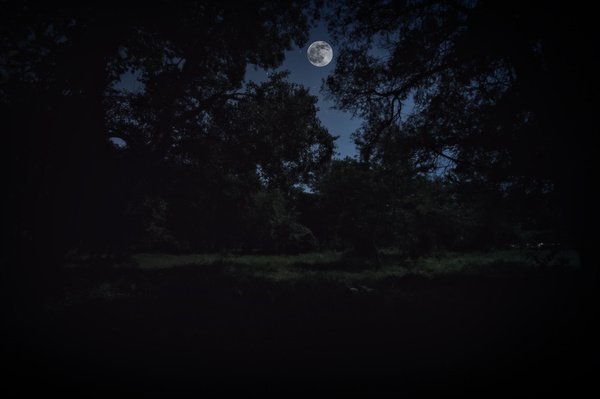 Bright moonlight at night Stock Photo 05