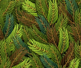 Christmas fir branches seamless pattern vector 01