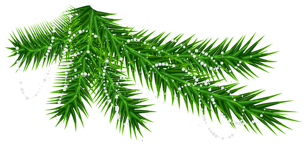 Christmas fir-tree branch illustration vector 01
