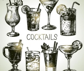 Cocktails hand drawn vector illustration set 02
