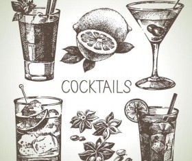 Cocktails hand drawn vector illustration set 03