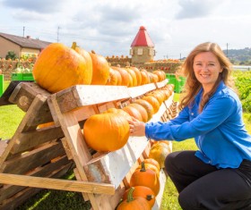 Different varieties of pumpkin Stock Photo 02