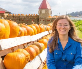 Different varieties of pumpkin Stock Photo 03
