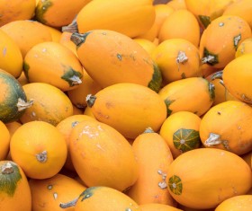 Different varieties of pumpkin Stock Photo 04