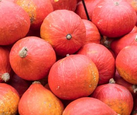 Different varieties of pumpkin Stock Photo 05