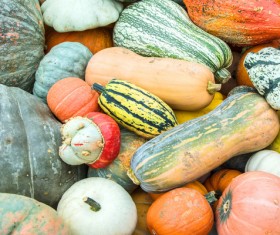 Different varieties of pumpkin Stock Photo 13