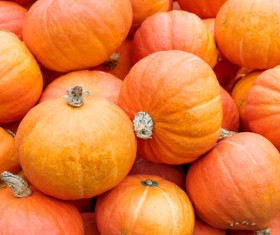 Different varieties of pumpkin Stock Photo 17