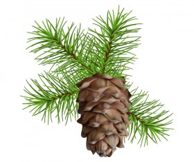 Fir-tree branch with cone christmas illustration vector 02