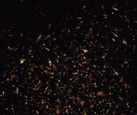 Fire Crackles Photoshop Brushes