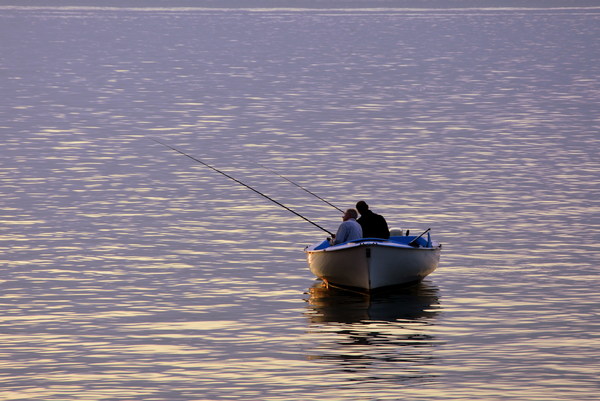 Fishing in the lake Stock Photo