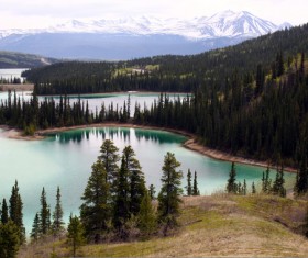 Forest lake landscape Stock Photo 01