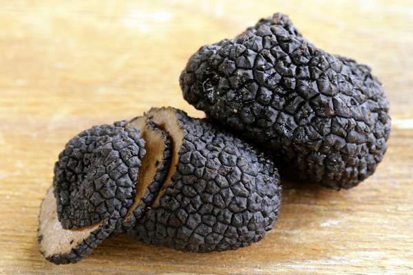 French black truffle Stock Photo 02