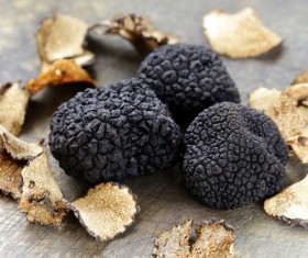 French black truffle Stock Photo 05