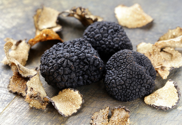 French black truffle Stock Photo 05