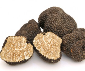 French black truffle Stock Photo 06