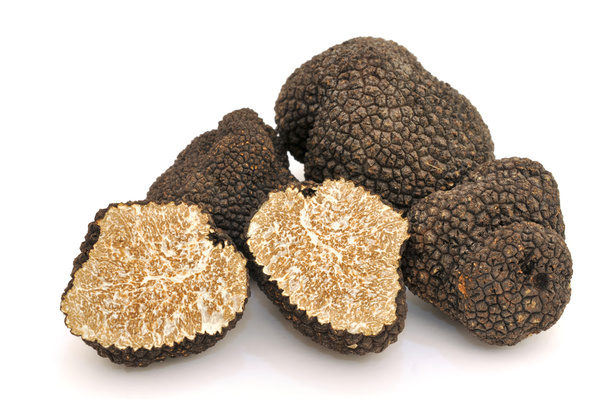 French black truffle Stock Photo 06