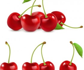 Fresh cherry realistic vector illustration 01