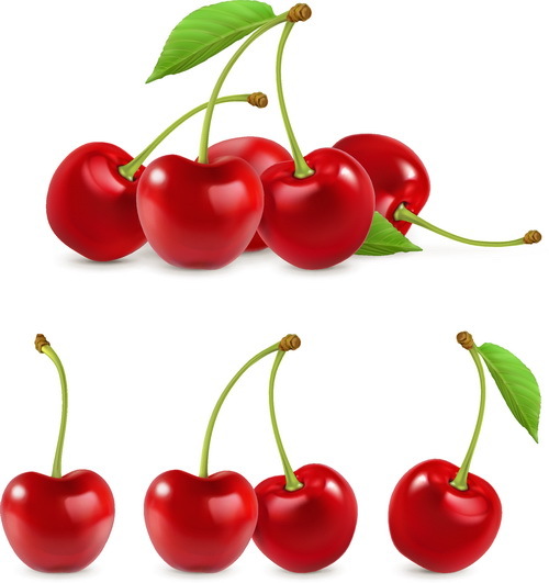 Fresh cherry realistic vector illustration 01