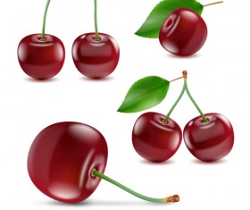 Fresh cherry realistic vector illustration 02