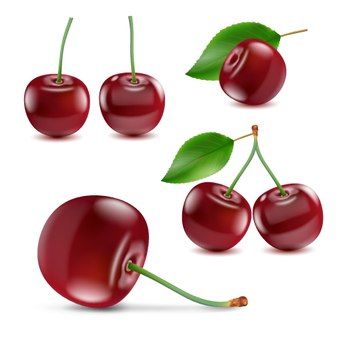 Fresh cherry realistic vector illustration 02